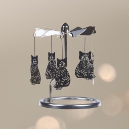Set hélice Gato